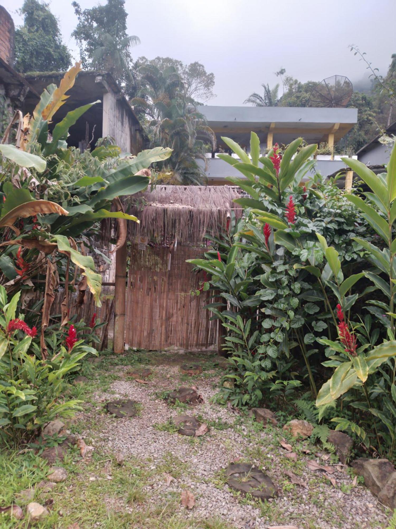Perola Ubatuba